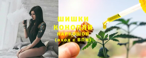 гидра Волоколамск