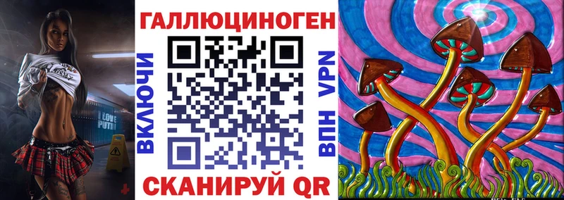 Псилоцибиновые грибы GOLDEN TEACHER  shop телеграм  Плёс 